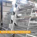 A Type Automatic Design Layer Chicken Cages for Kenya Poultry Farm